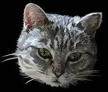 animal pet head cat adorable