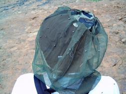 Animal Fly Nuisance Hair net