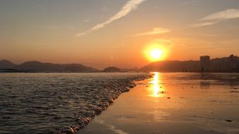 Beach Sol Summer
