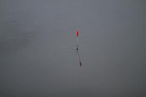Fishing Water
