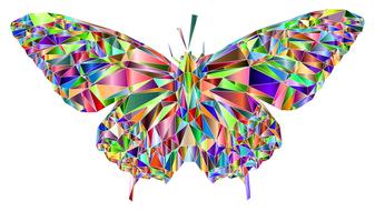 low poly butterfly insect polygons