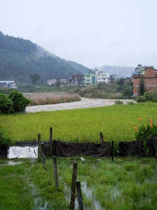 green lawn farm