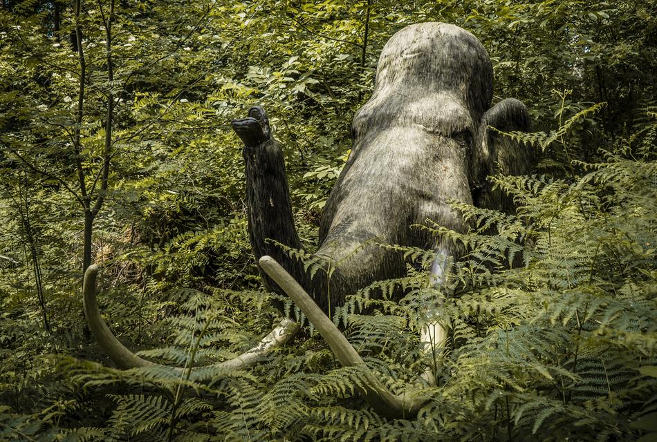 Mammoth Mammoths Stone Age