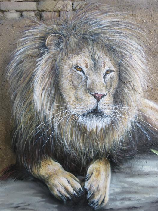 wild lion graffiti