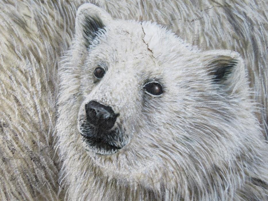 Polar Bear Wall Art