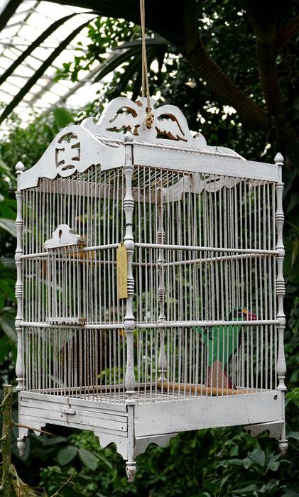 Cage Boxed Bars
