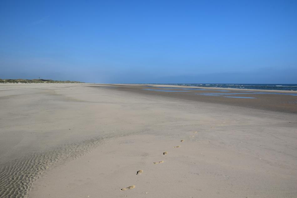 Langeoog Beach Dune