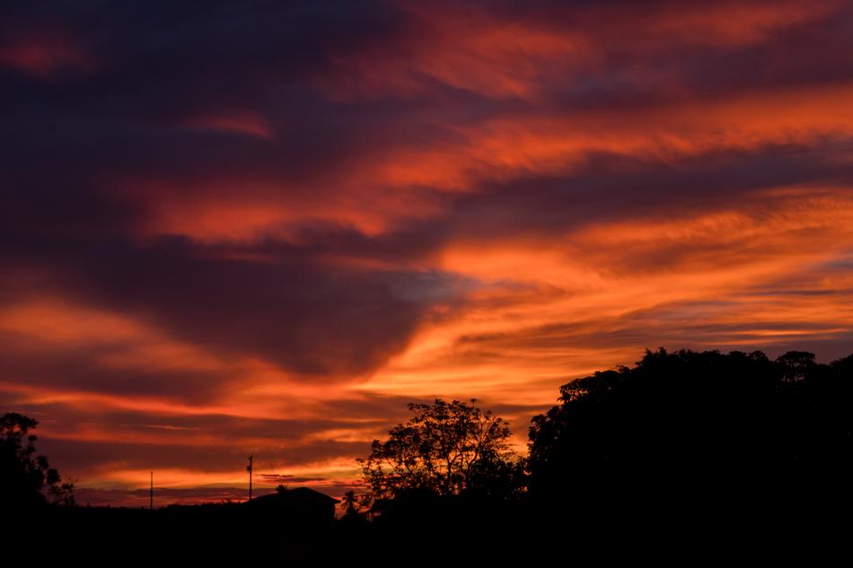 Beauty Evening Night