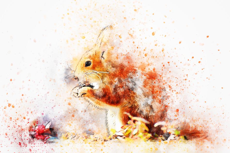 squirrel eating art watercolor