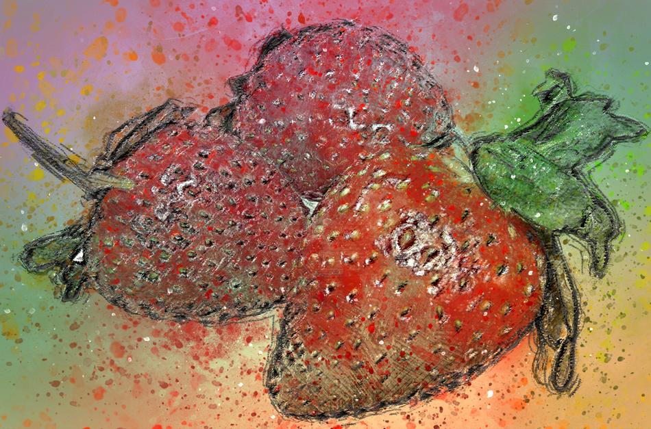 drawn ripe strawberries in the dirt