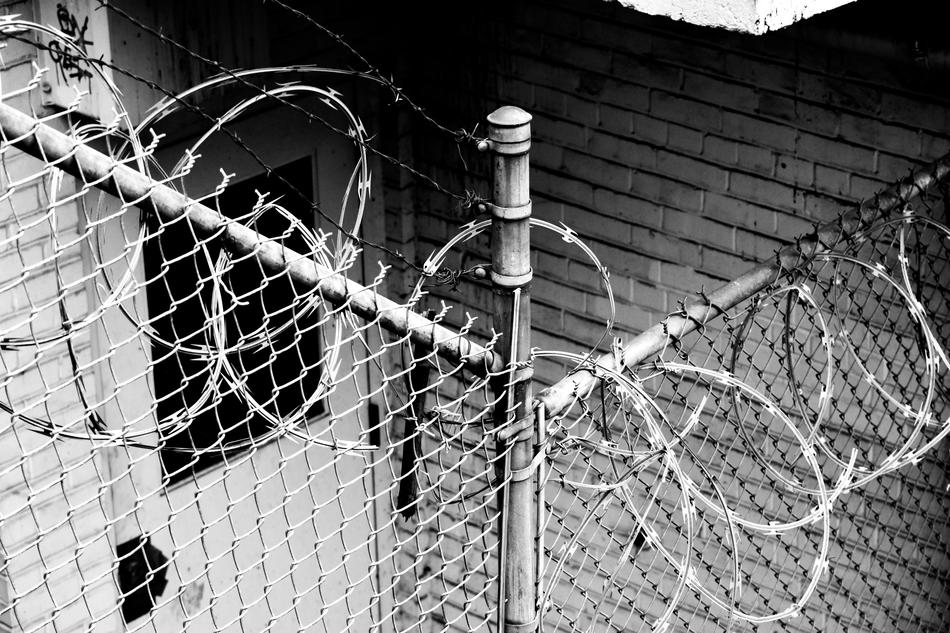 black and white, barbed wire on the fence