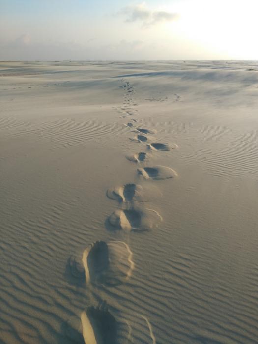 Traces Sand Sea