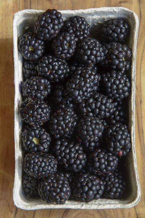 Tasty healthy blackberries