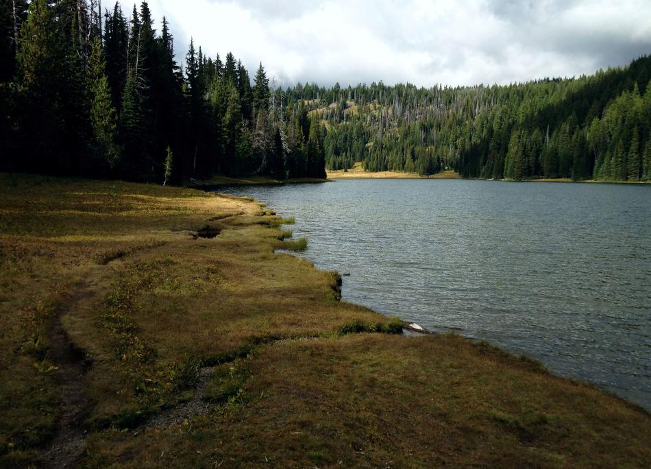 Lake Trees Background