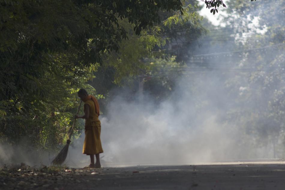 Monks Sweep The Yard Buddhism