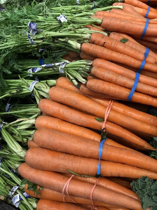 fresh tasty carrots