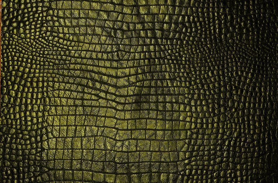 Texture Cook Green