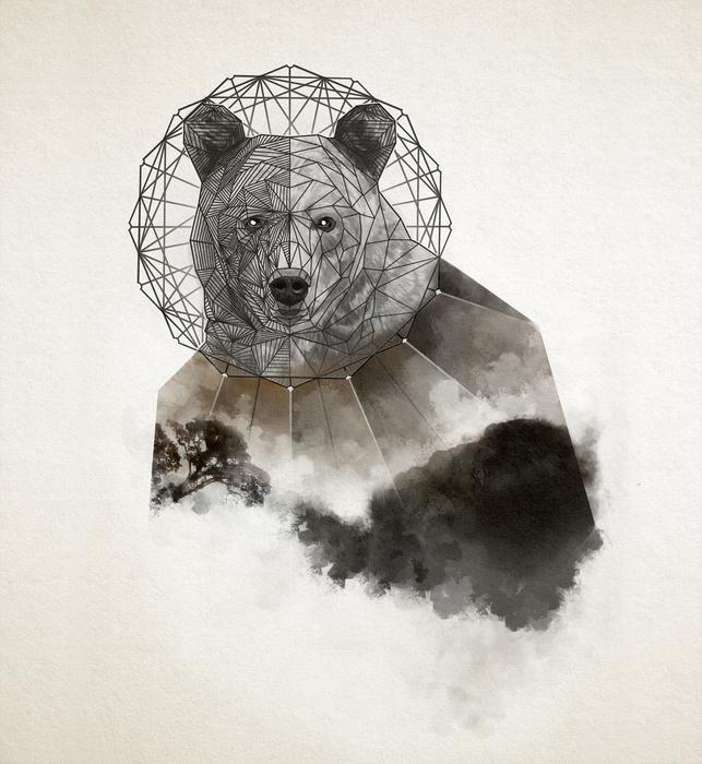 bear geometric animal creative