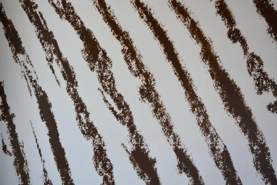 Wallpaper Paper Pattern Zebra