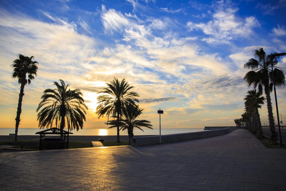 Palm Trees The Sun Beach Beautiful view