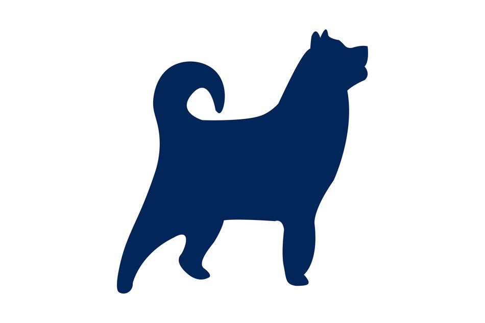 dog animal silhouette pet zoo pow