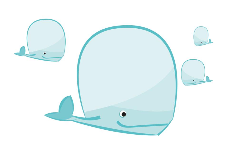wal fish animal comic underwater