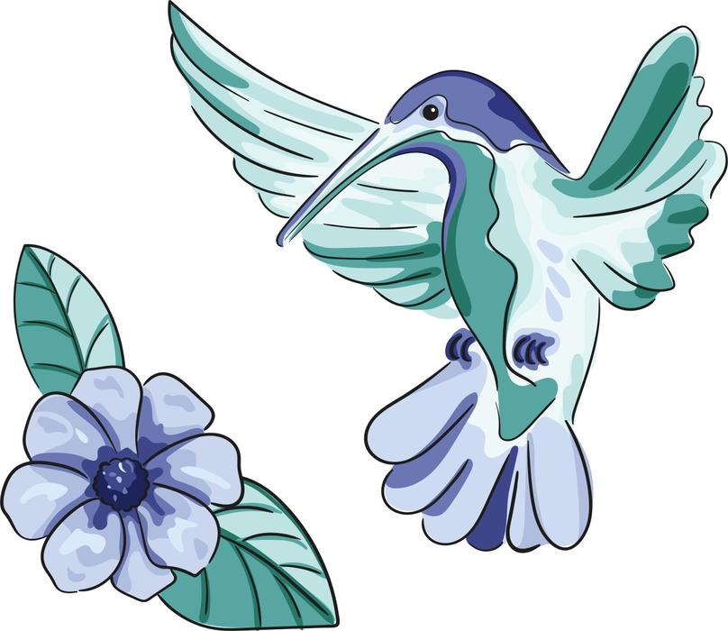 hummingbird bird flower nature