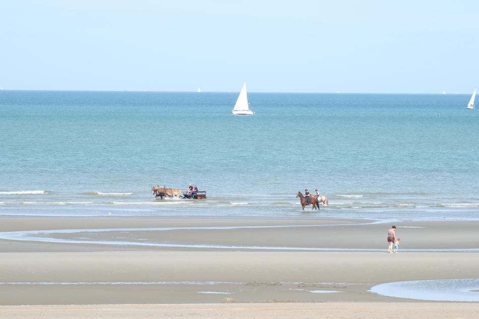 Beach Belgium Summer