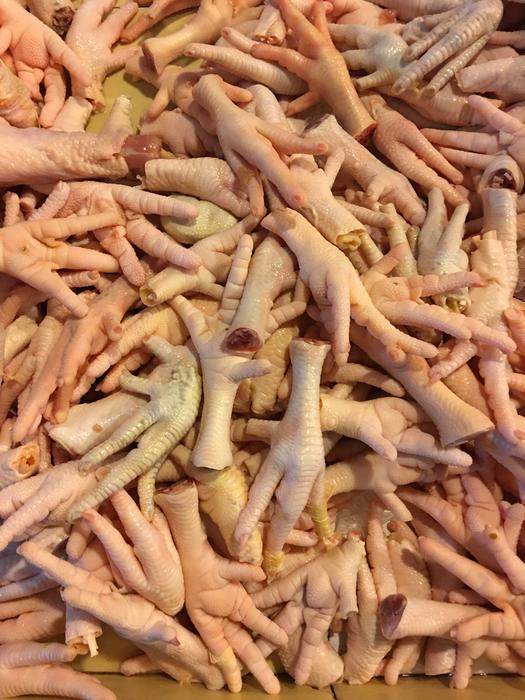 raw chicken legs