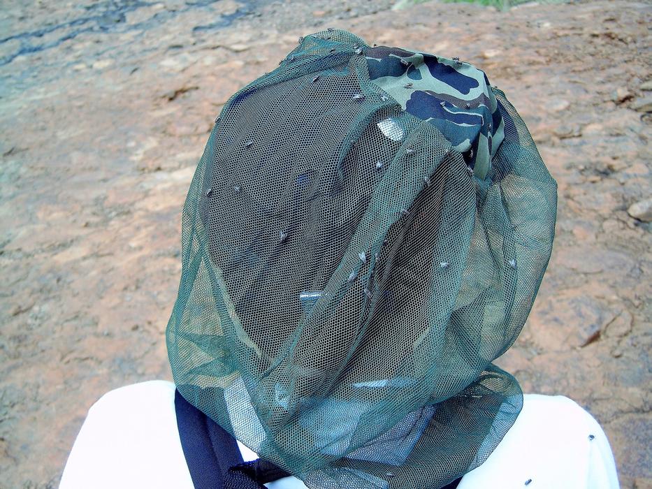 Animal Fly Nuisance Hair net