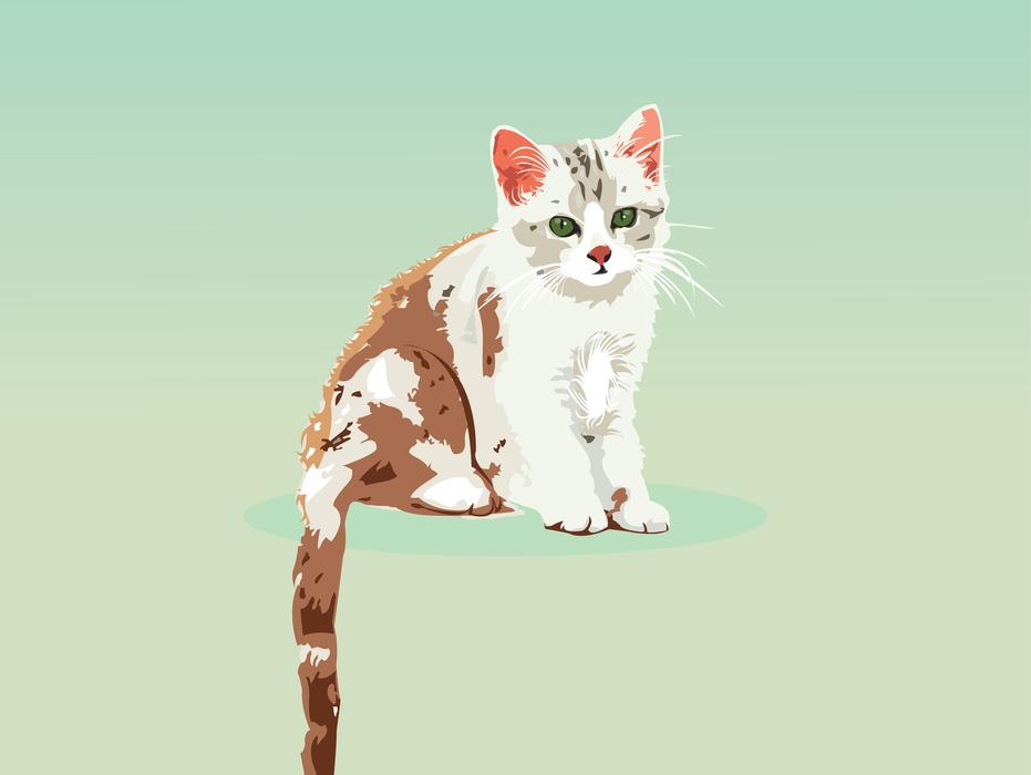 cat kitten portrait animal cartoon