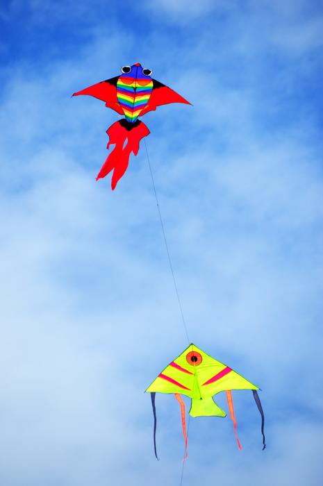 Paper Dragon Kites Freedom