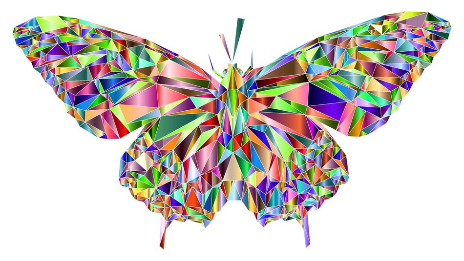 low poly butterfly insect polygons