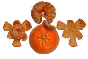 delicious ripe tangerine on a white background