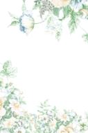 colorful patterns with flowers on a white background