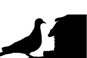 dove aviary silhouette bird sit