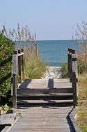 Beach Summer Travel Ocean