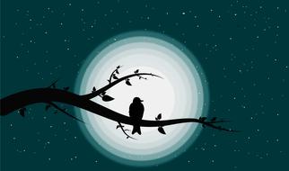 bird on tree bird blue moon leaf