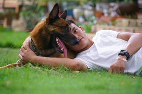 Dog Friend Malinois