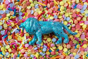 Animal Bonbon Candy