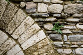 Wall Stone Texture