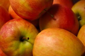 Apple Healthy Fruit Vitamins