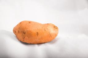fresh potatoes on a white background