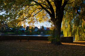 Alster Hamburg Sunset