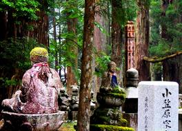 forest monuments japan