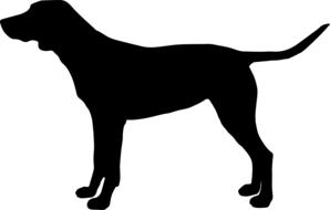 dog doggy animal dog house is pet
