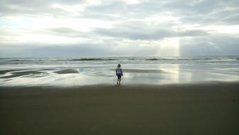 Beach Nature Sol