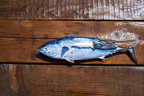 Fresh fish on a wooden table