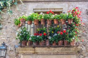Pedraza Tourism Rural