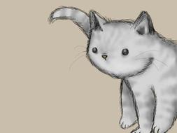 kitten cat cute cat pet cute